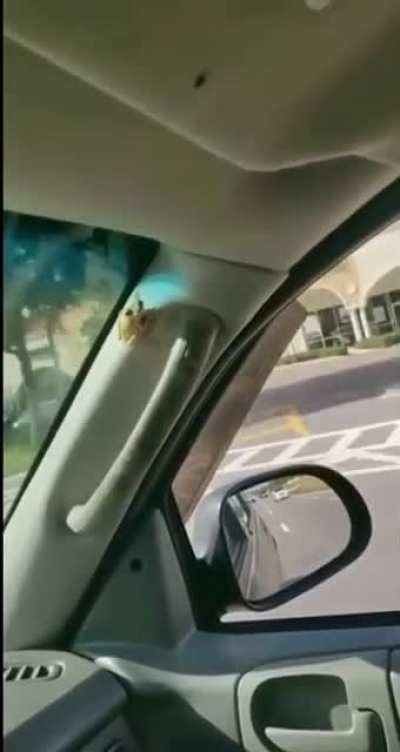 Man vs frog