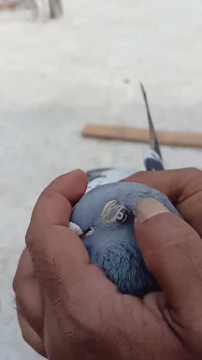 Drone maintenance...