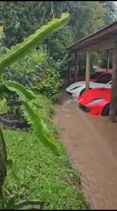 F para esses cavalinhos italianos
