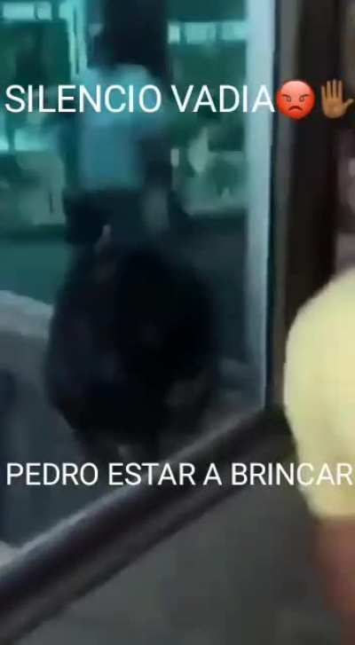 silêncio