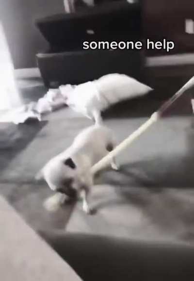Where’s puppy’s treat?
