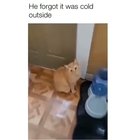 Winter is here