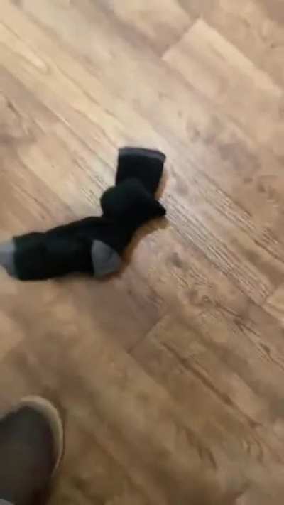 Professional Nutter...
