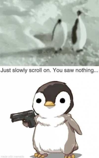 I like penguins [oc]