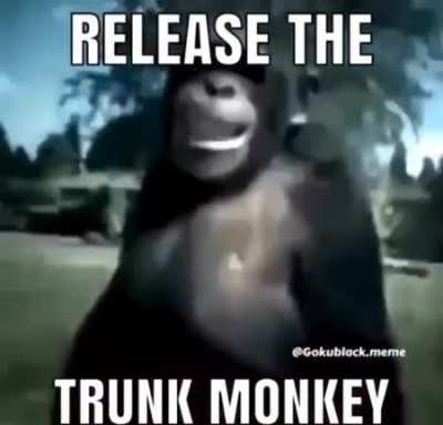 OOOO AAAAA HUMAN WEAPONIZING MONKE