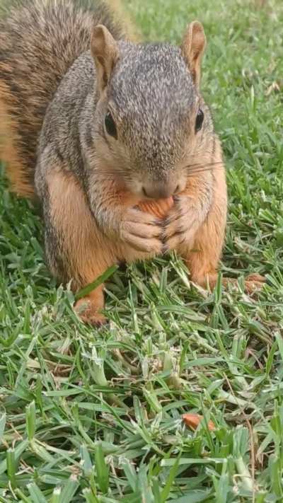 Munch Munch