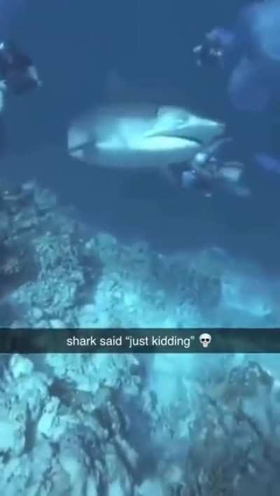 Hah! Gotcha…