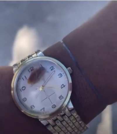 Introducing the new “Roachex” line of watches