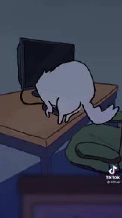 Cat moment