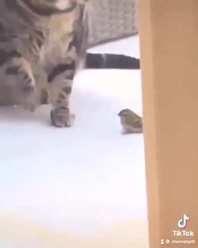 now that's a way to kill your prey