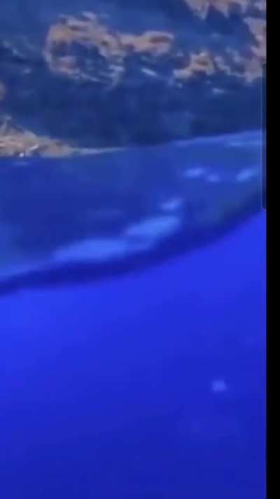 Sea is Blue.