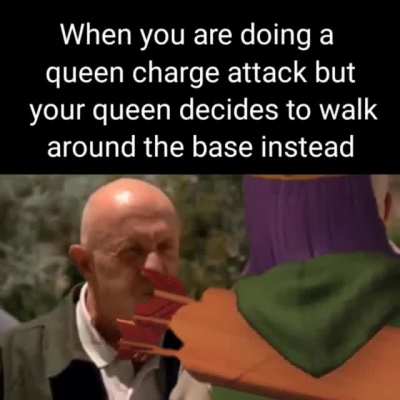 Certified queen moment besides attacking walls