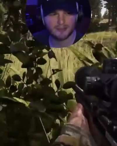 Bambi in a nutshell