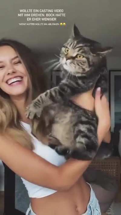 That Darn Cat