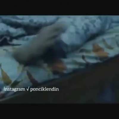 Playing with monster under your bed