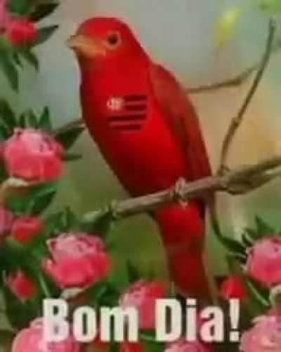 👍
