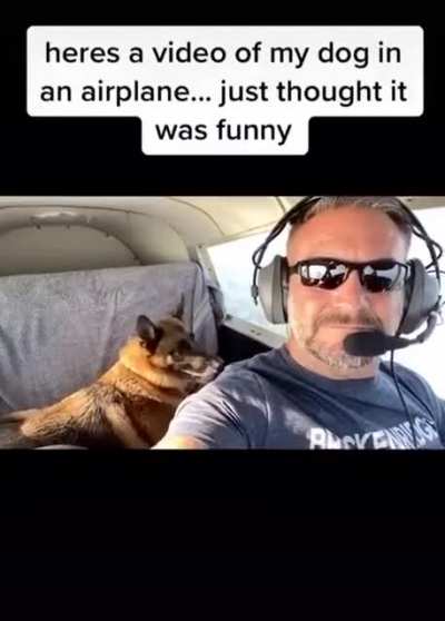 What a good boy