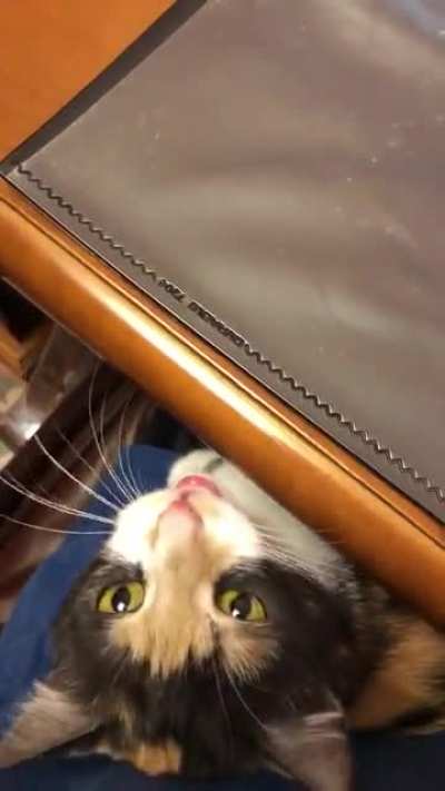 Squeaking assistant