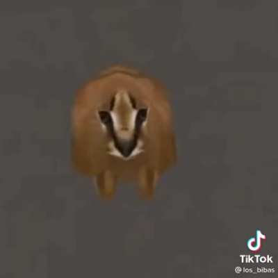 the