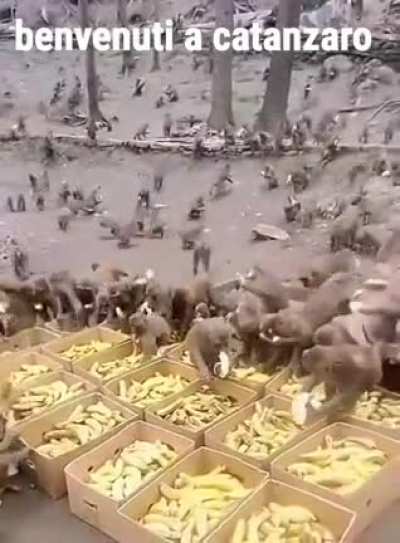 benvenuti
