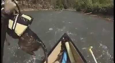 Bruh.