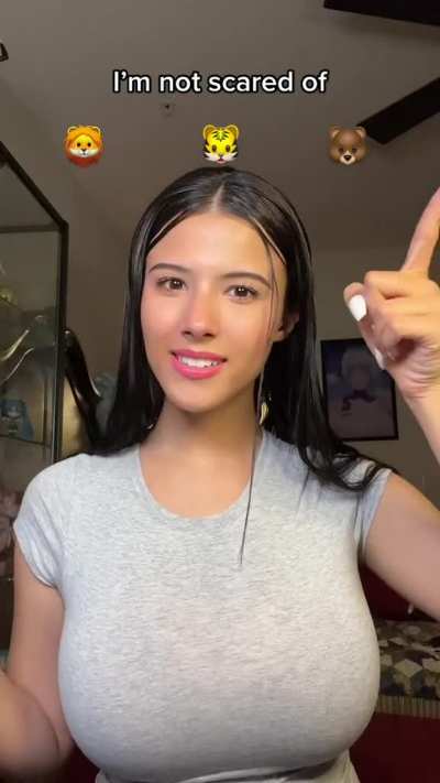 Tight Grey Shirt