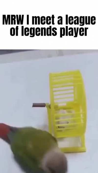 rul