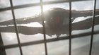 In Avengers Endgame, Ant-Man was able to survive the attack on the Avengers compound by shrinking down when the first blast hit.