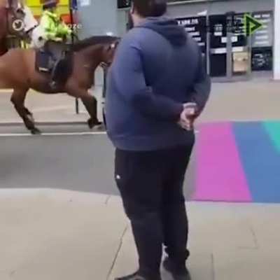 Based horses!??!