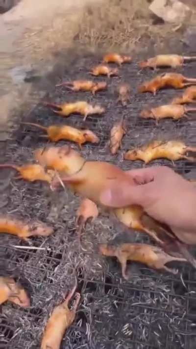 Raty yummy<wbr>😋😋😋
