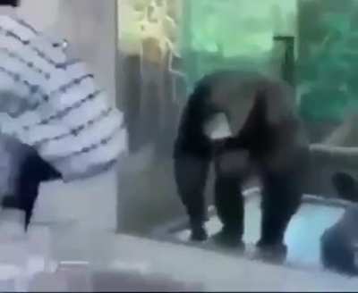 Imitating a monkey