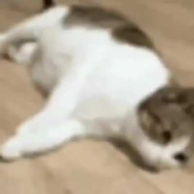 oooaaaaa