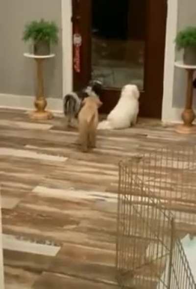 Pranks his nosey siblings