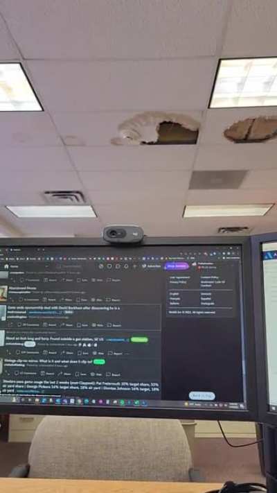 It's hard to concentrate on my work with the elephants above me.