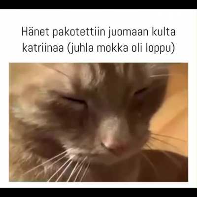 mina☕️irl