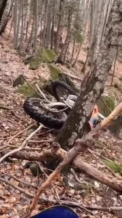 Lucky bastards.
