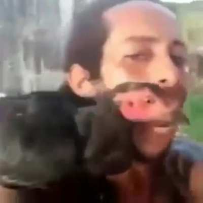Papagaio