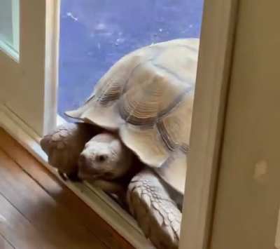 Home invasion.