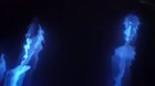 Dolphins swimming through bioluminescent algae in Newport Beach