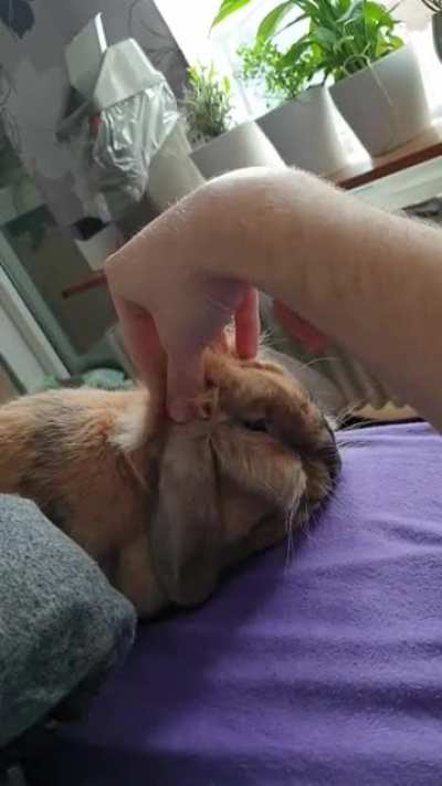 Take a moment to relax /w Fufu