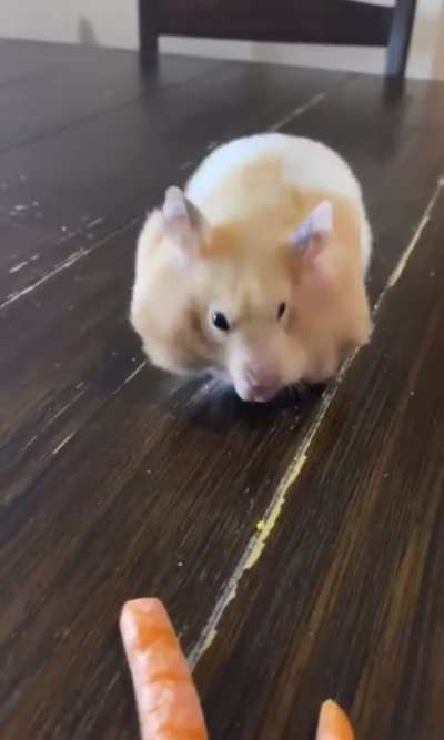 Maybe Maybe Maybe