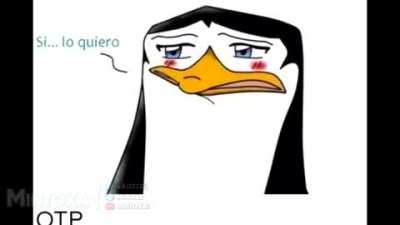 xd