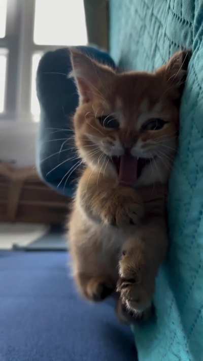 she just woke up