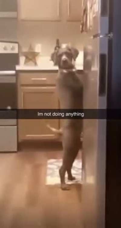 Doing dishes and baking a cake