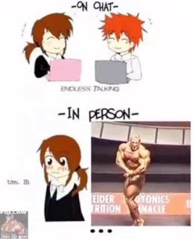 XD