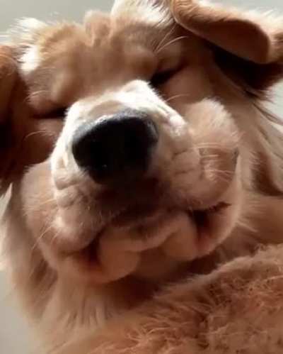 Hello fren