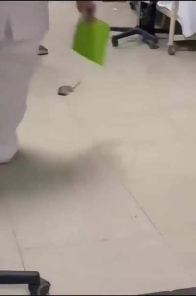 México mágico