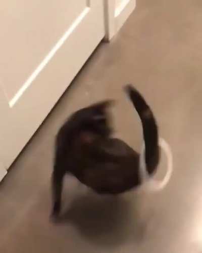 Activate cat tornado