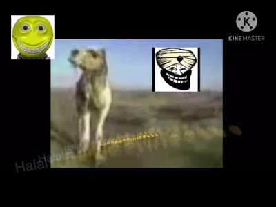فلنصلي الإخوة والأخ<wbr>وات لمخلصنا الله🤣<wbr>🤣🤗🤗🤗🤪<wbr>😍😍👏👏👍<wbr>👍👍Pro<wbr>of of Allah Power free whatsapp video hijab included 120fps no virus<wbr>🤣🤣🤣🤗🤗<wbr>🤗👏👏👏👏<wbr>👏🙌🙌🙌👍<wbr>👍👍👍