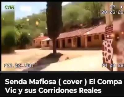 Senda mafiosa